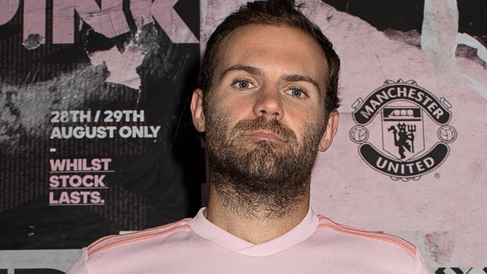 21116_THE PINK_ 4x5_Juan