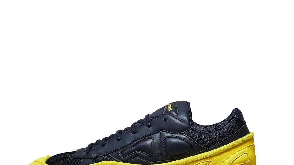 Raf Simons Ozweego and Stan Smith