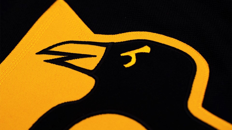 adidasHockey StadiumSeries Penguins