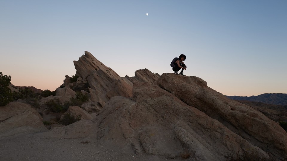 adidas TERREX Free Hiker