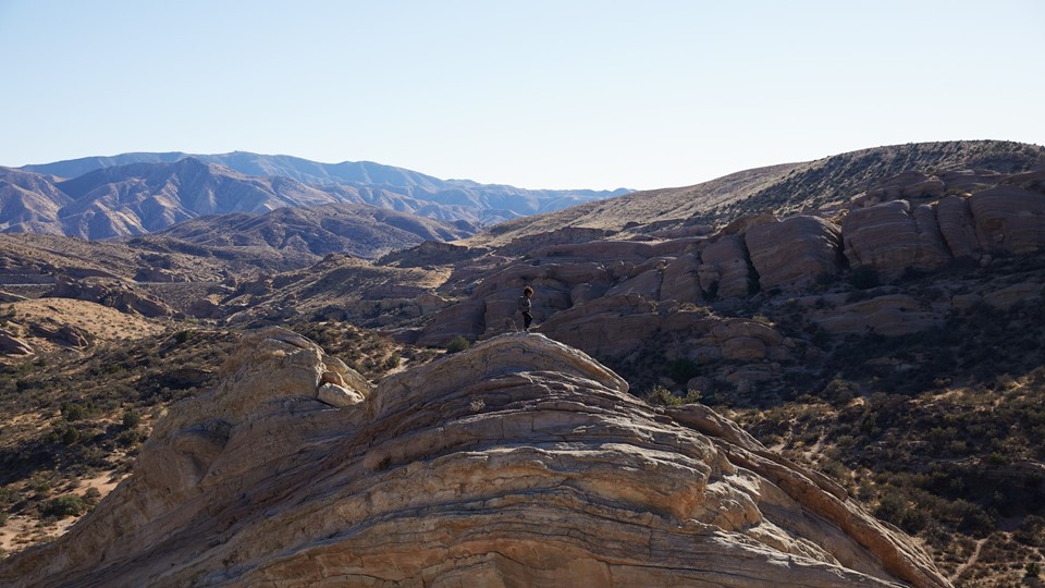 adidas TERREX Free Hiker