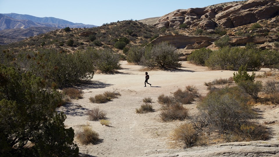 adidas TERREX Free Hiker