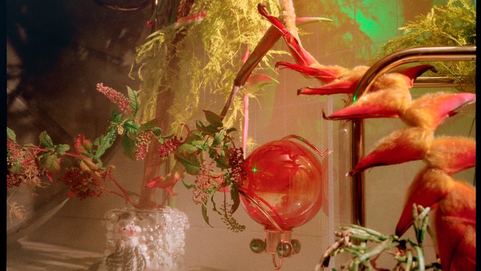 adidas Originals - Sleek FebLook - Mood