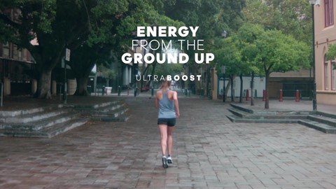 meet-the-contender