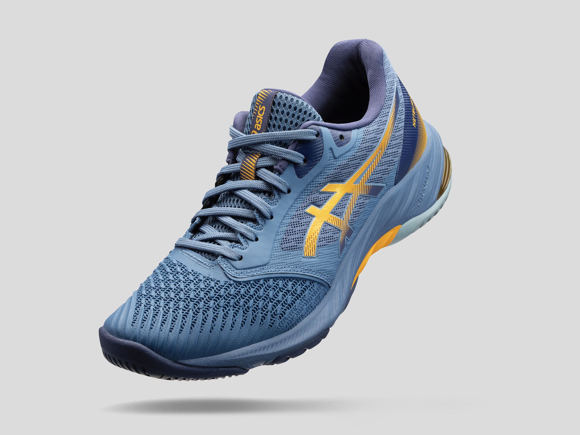 asic netburner ballistic ff