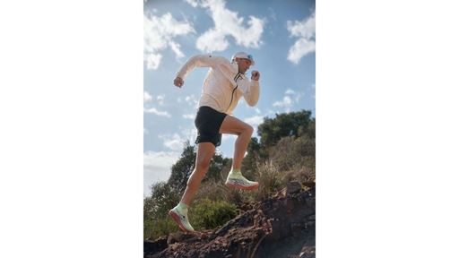 Metafuji Trail Highlights