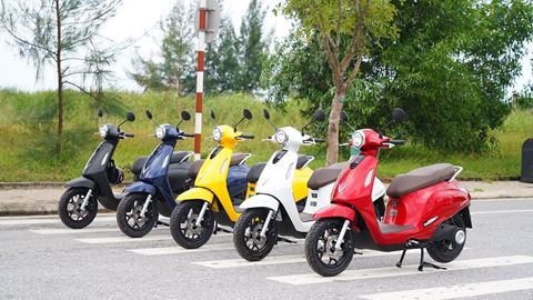 Vingroup Chairman Establishes Electric Vehicle Rental & Taxi Service Company