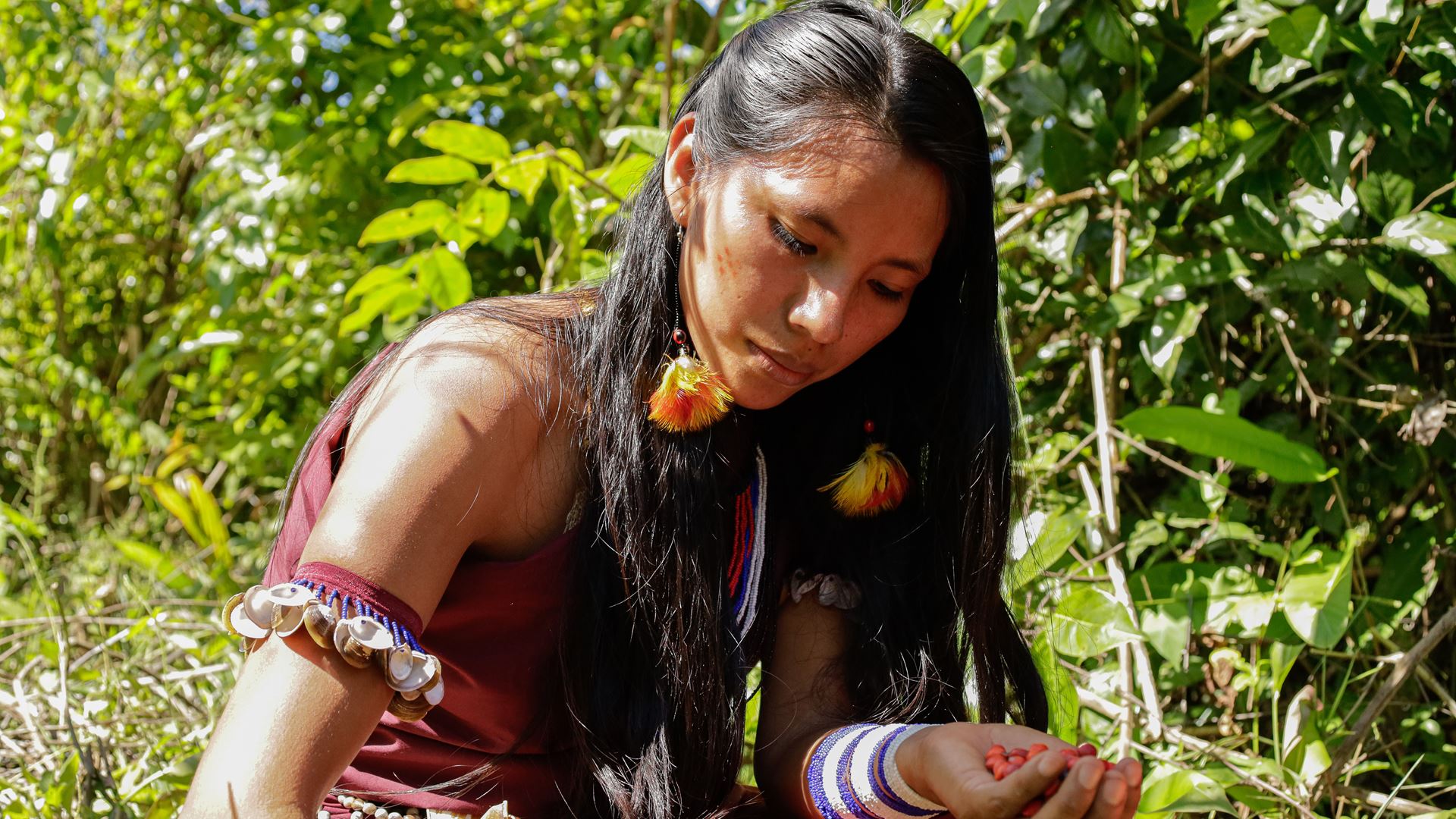 Erika teesh artisan collecting huayruros seeds Cool Earth
