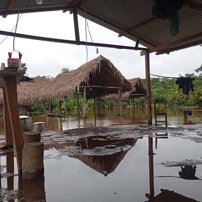 Images show the early effects of flooding on Ashaninka communities in the Amazon rainforest