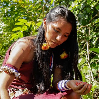 Erika teesh artisan collecting huayruros seeds Cool Earth
