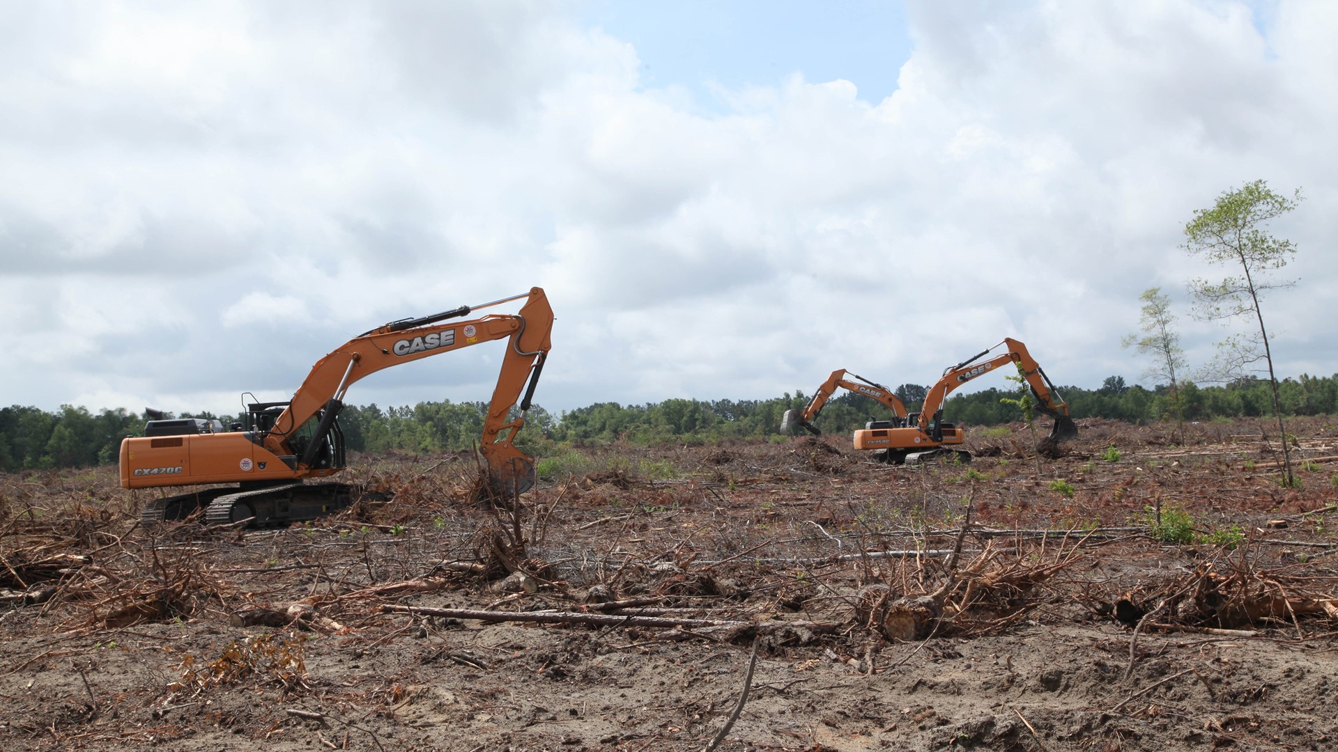 Farmland Conversion using excavators to clear scrub land