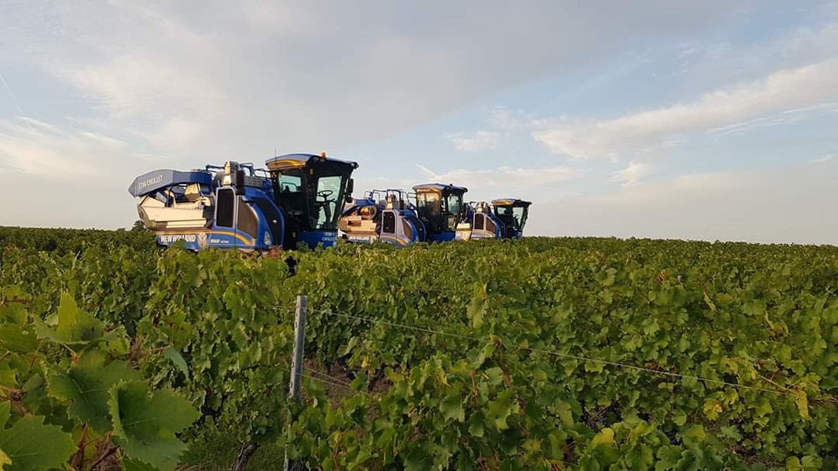 New Holland has extended its current destemmer range for Braud grape harvesters.