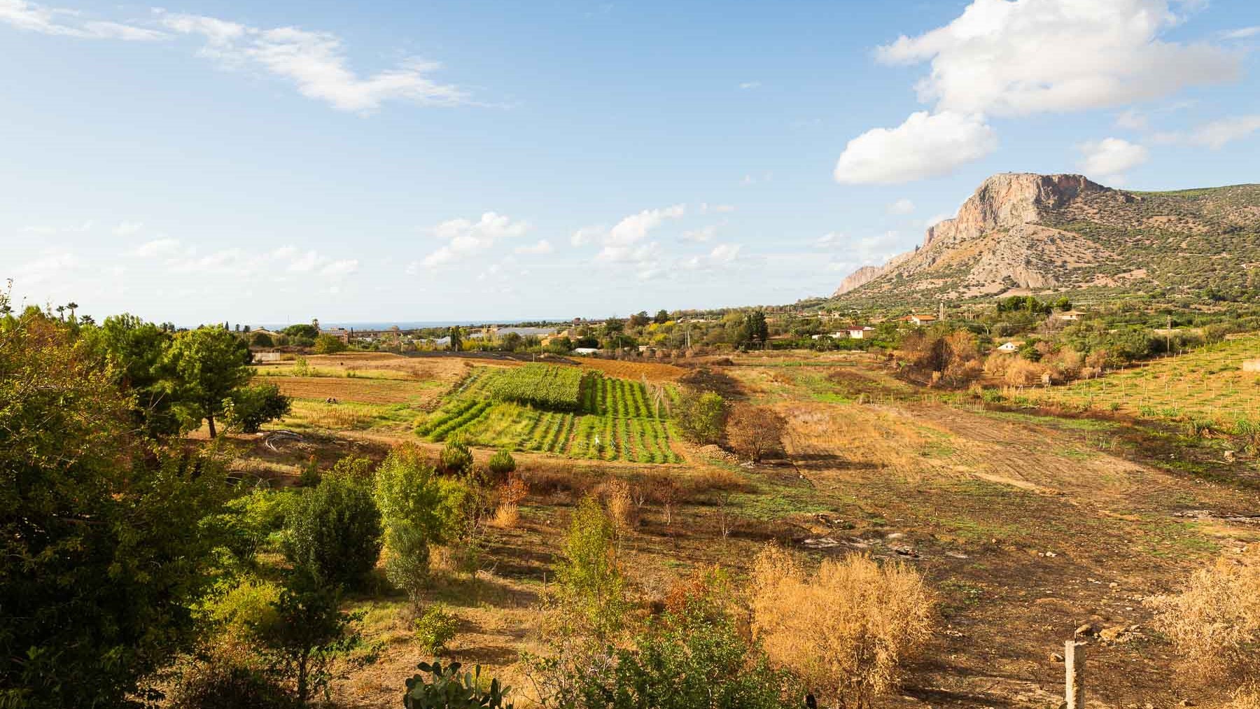 The creation of a “food forest” reproducing the natural eco-system in Sicily