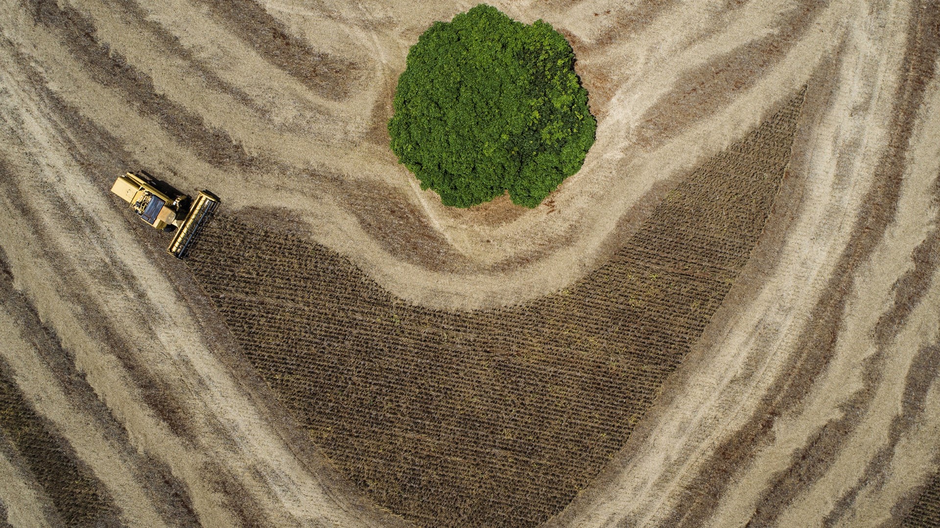 New Holland divulga os vencedores do Prêmio de Fotojornalismo