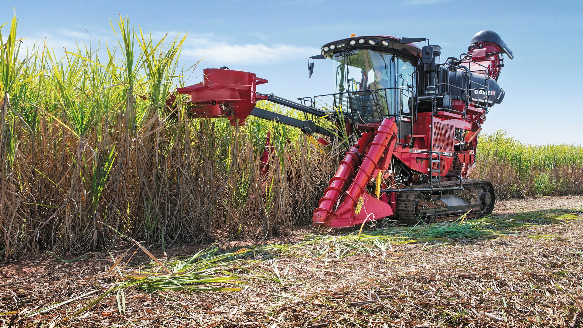 Colhedora de cana da Case IH é a mais lembrada pelo produtor, segundo pesquisa