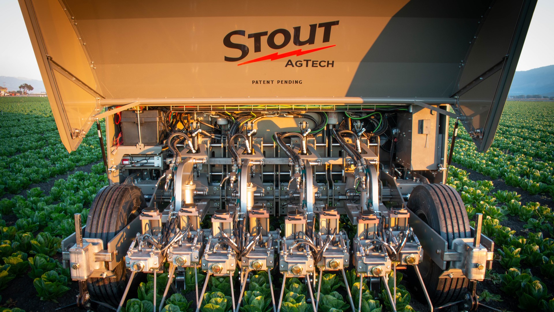 Stout Smart Cultivator