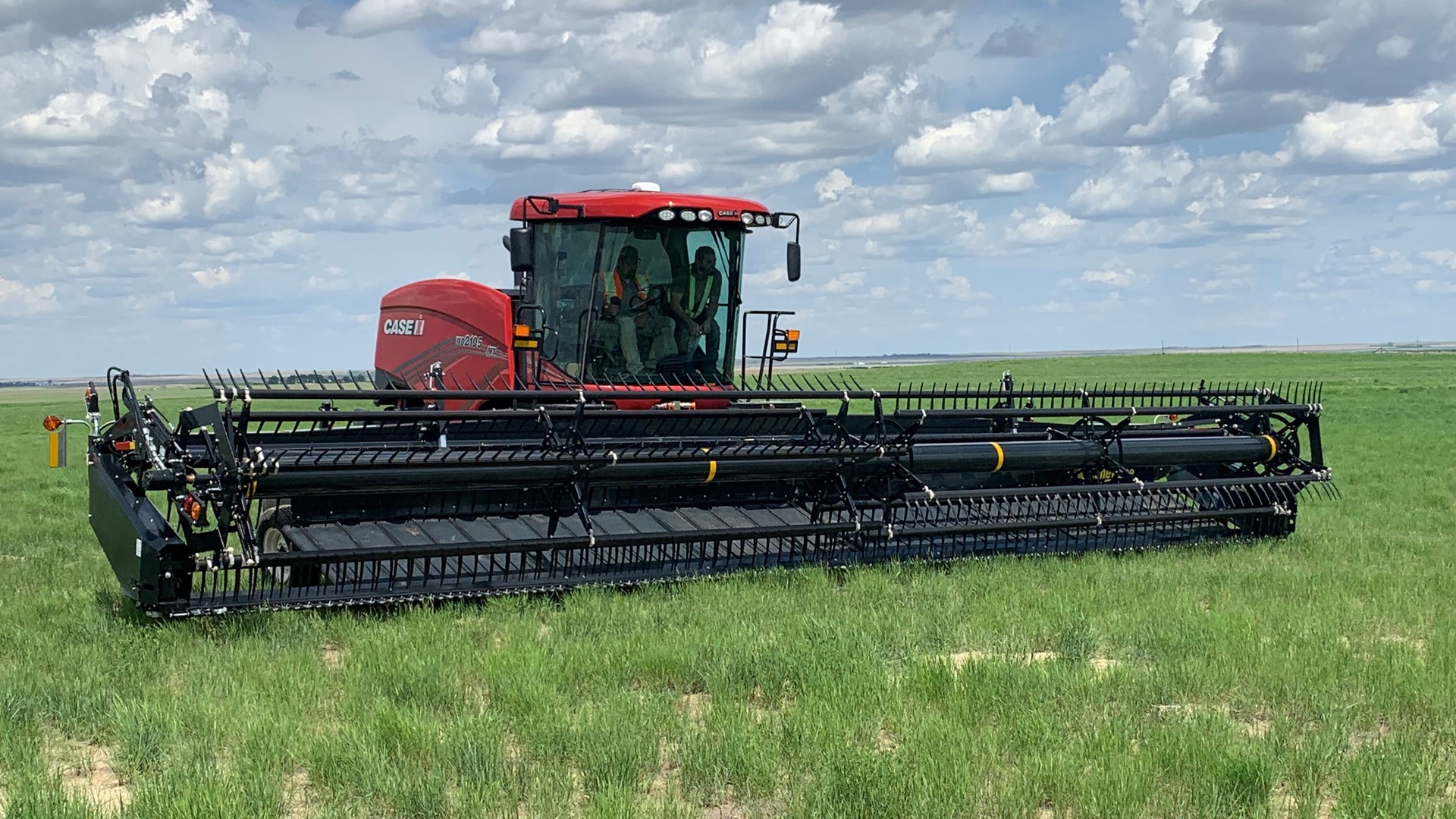Case IH WD5 Series Windrower with Honey Bee WSC Draper Heads