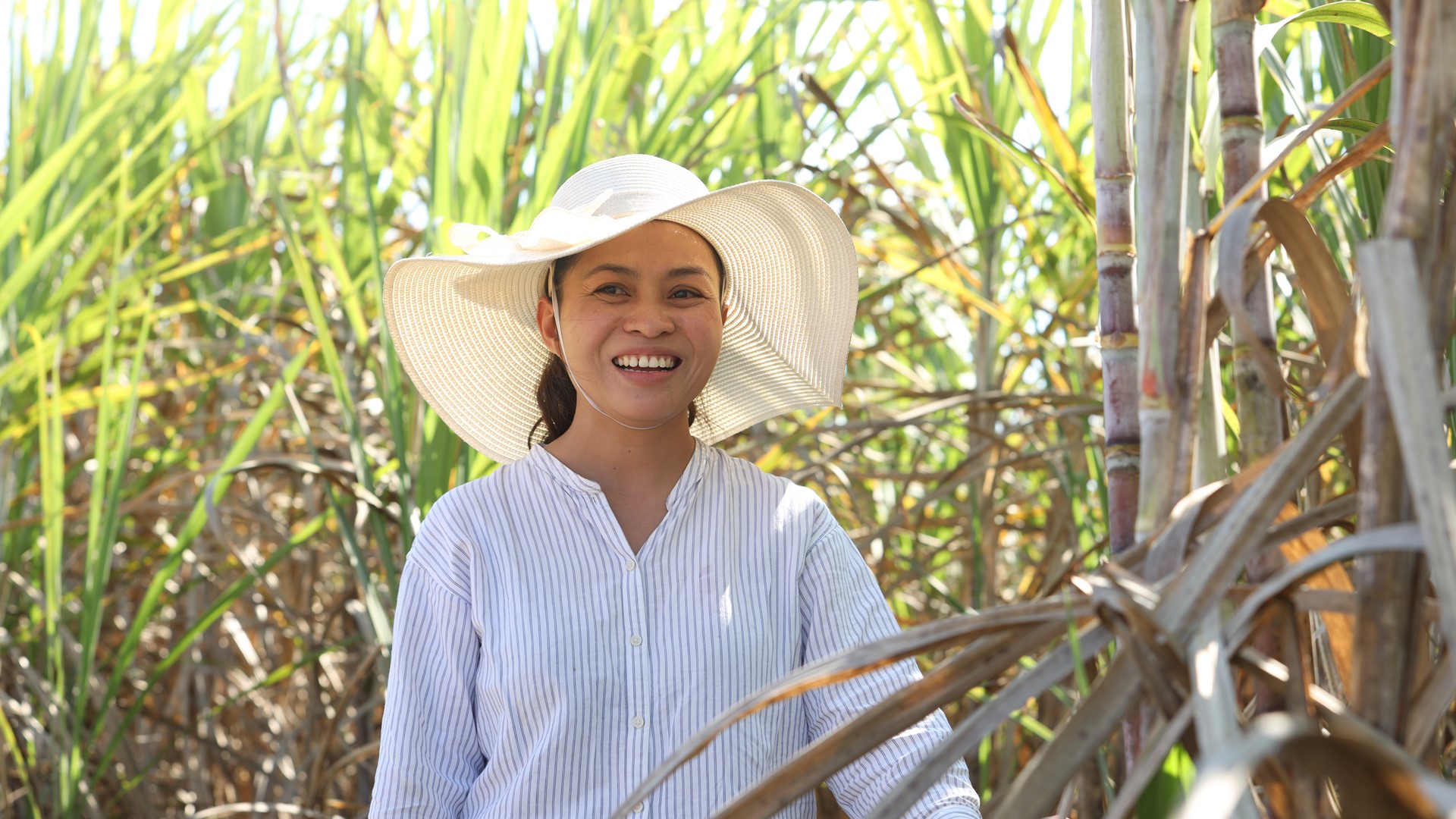 Better production year Case IH s Austoft 9000 elevates sugarcane harvesting in Thailand