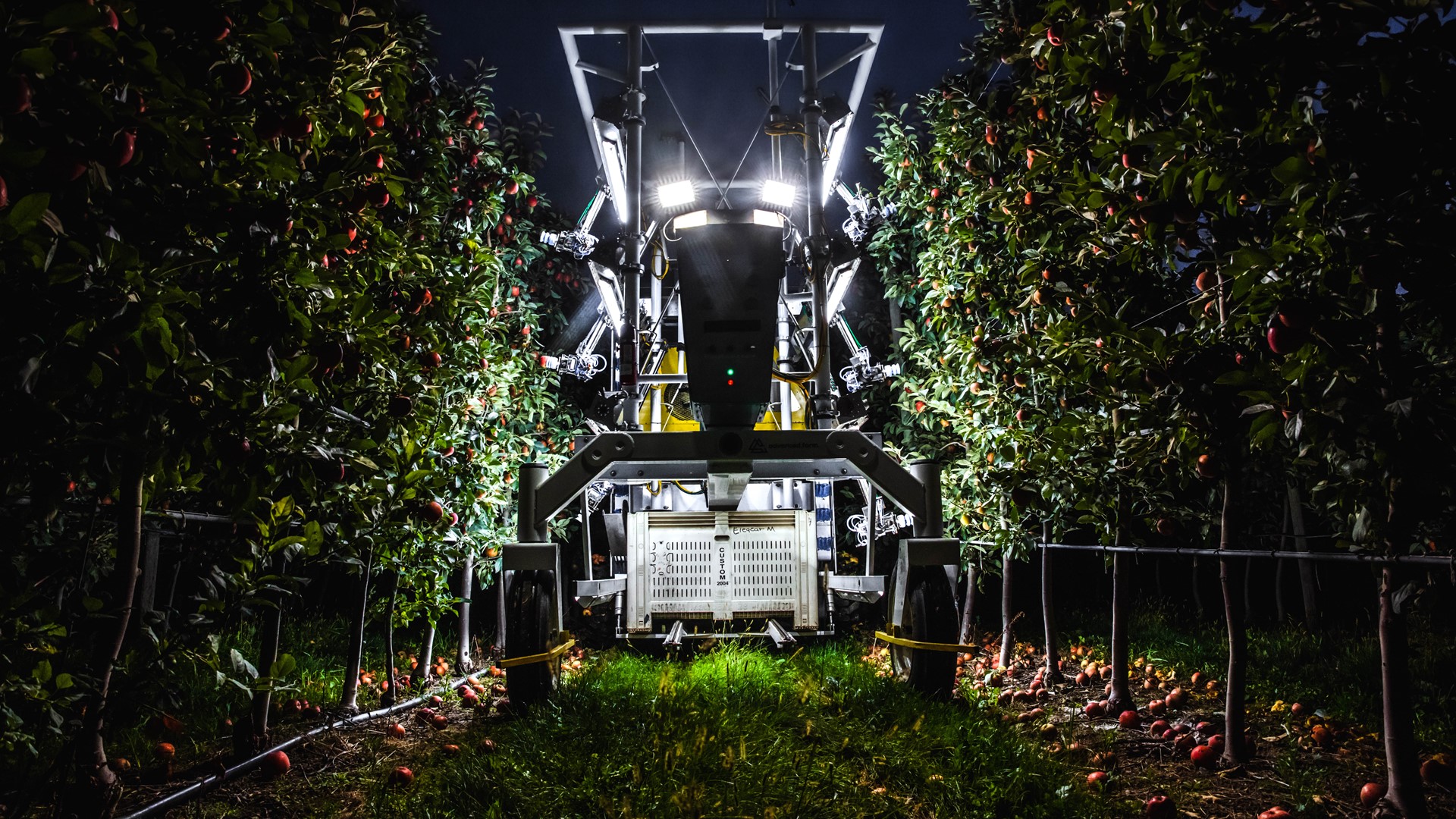 The advanced farm BetterPick robotic harvester picks fruit at night