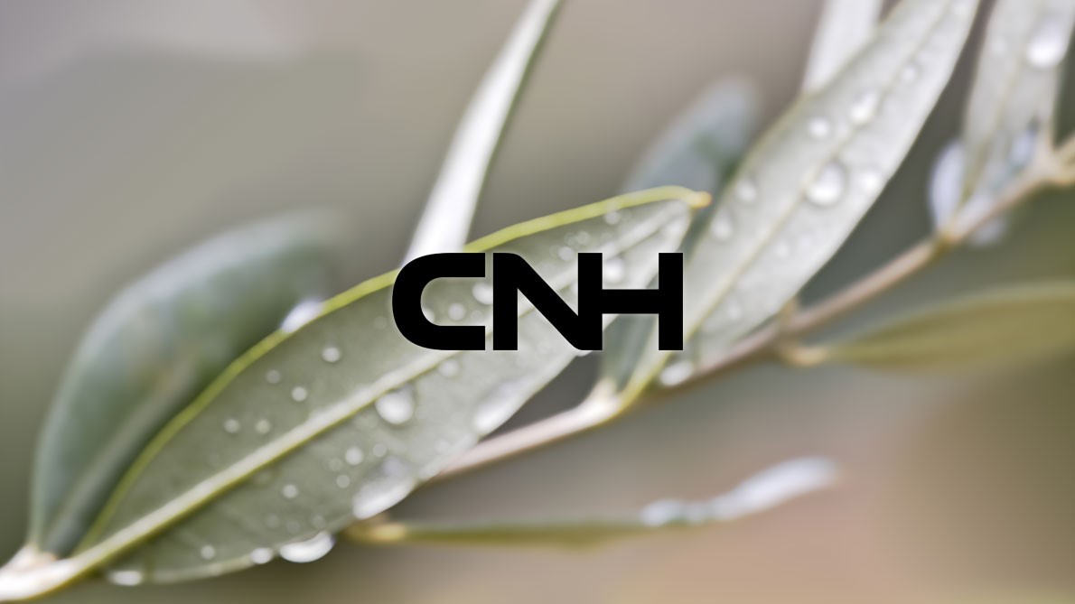 Redesign CNH Logo