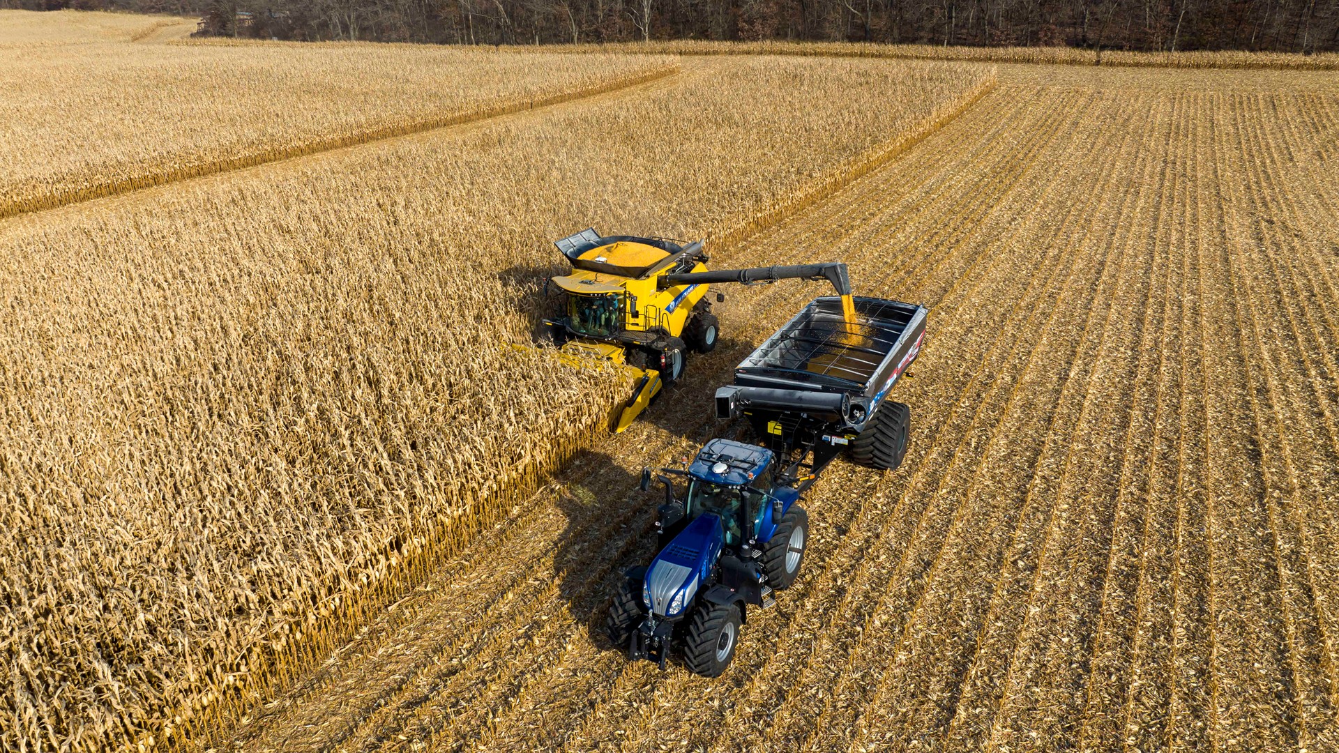 Corn harvester, Combine Harvester, Crop Yield & Automation