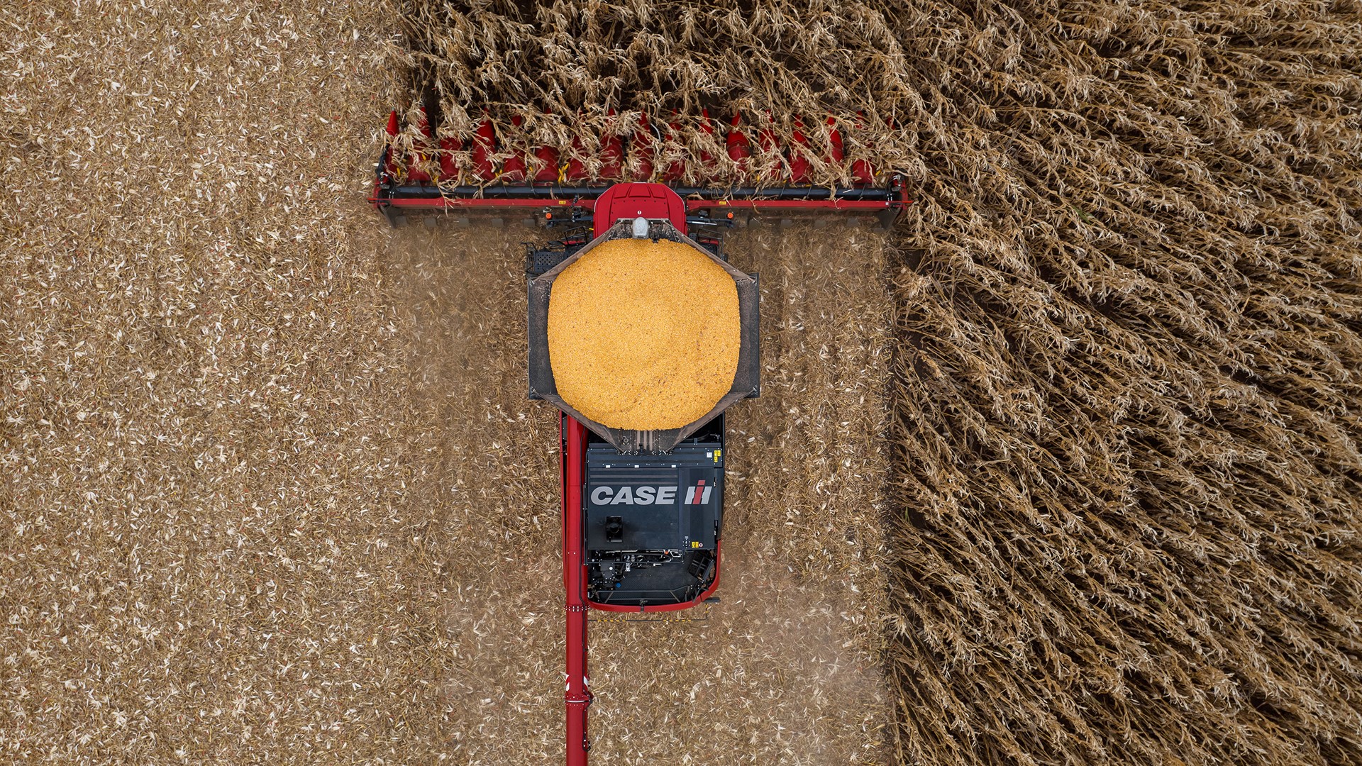 New Case IH Corn Headers Boost Feeding Throughput and Workrate