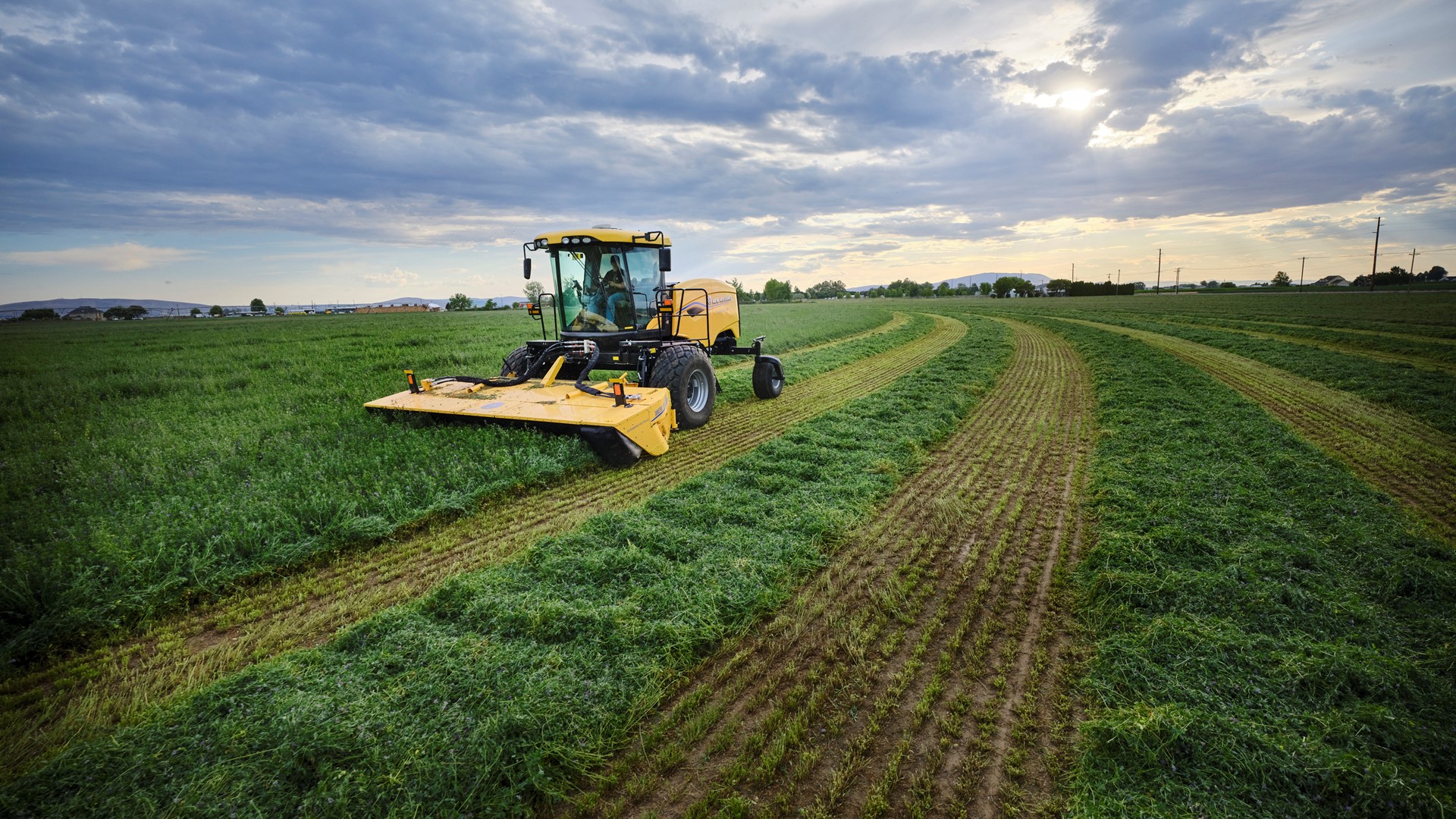 new-holland-launches-speedrower--1-series-self-propelled-windrowers-to-help-hay-and-forage-growers-m
