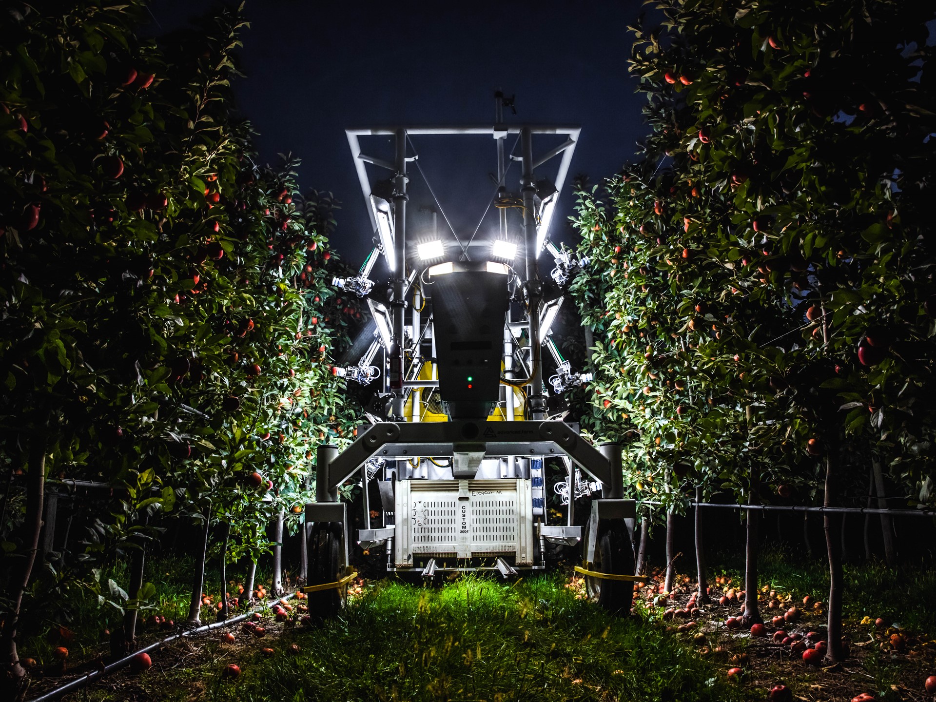 The advanced farm BetterPick robotic harvester picks fruit at night
