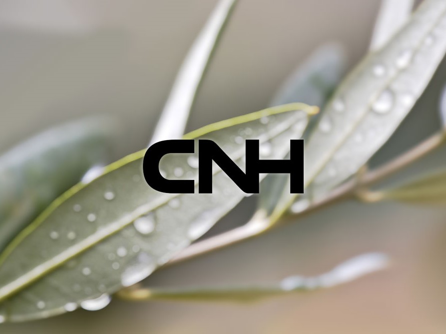 Redesign CNH Logo