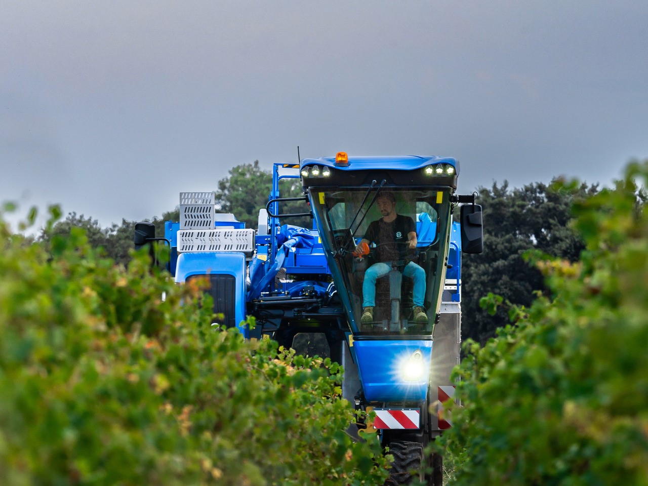 New Holland Braud compact grape harvesters