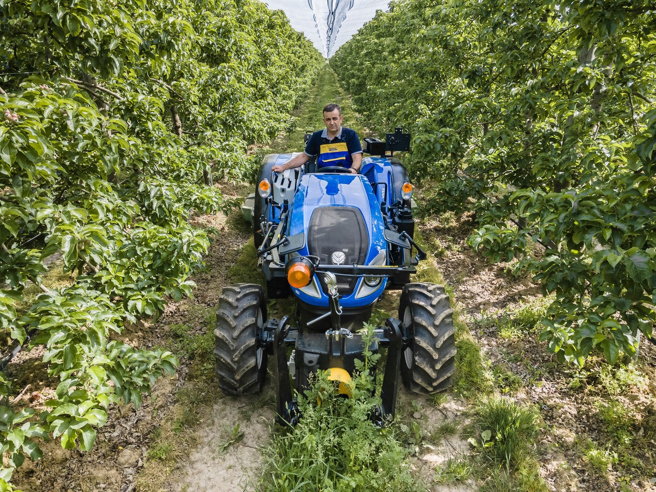New Holland T4F S