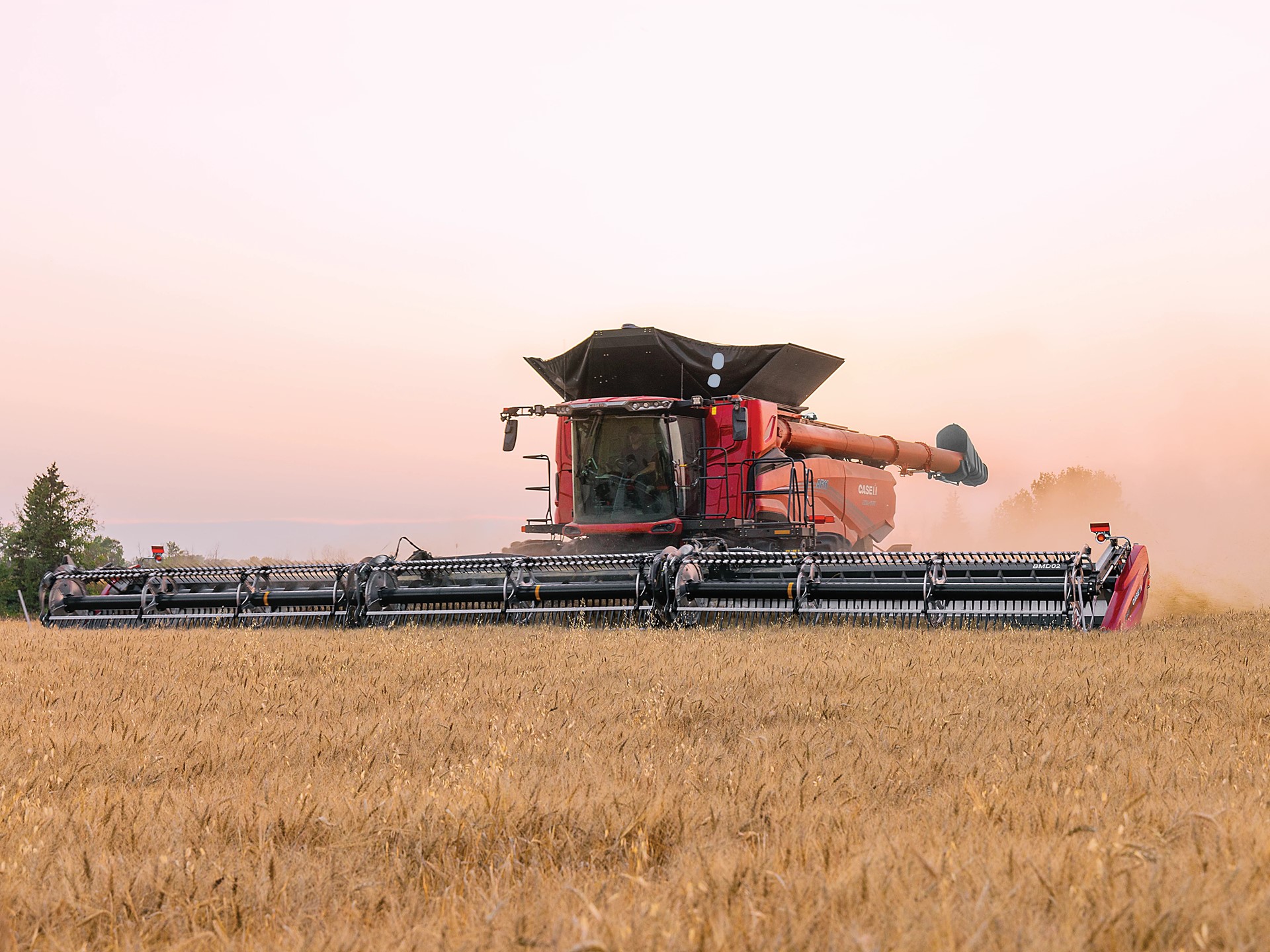AF11 Combine