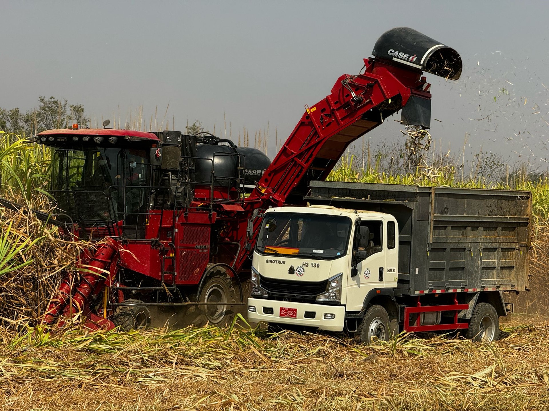 Austoft 9000 Enhancing efficiency and farm workers well being