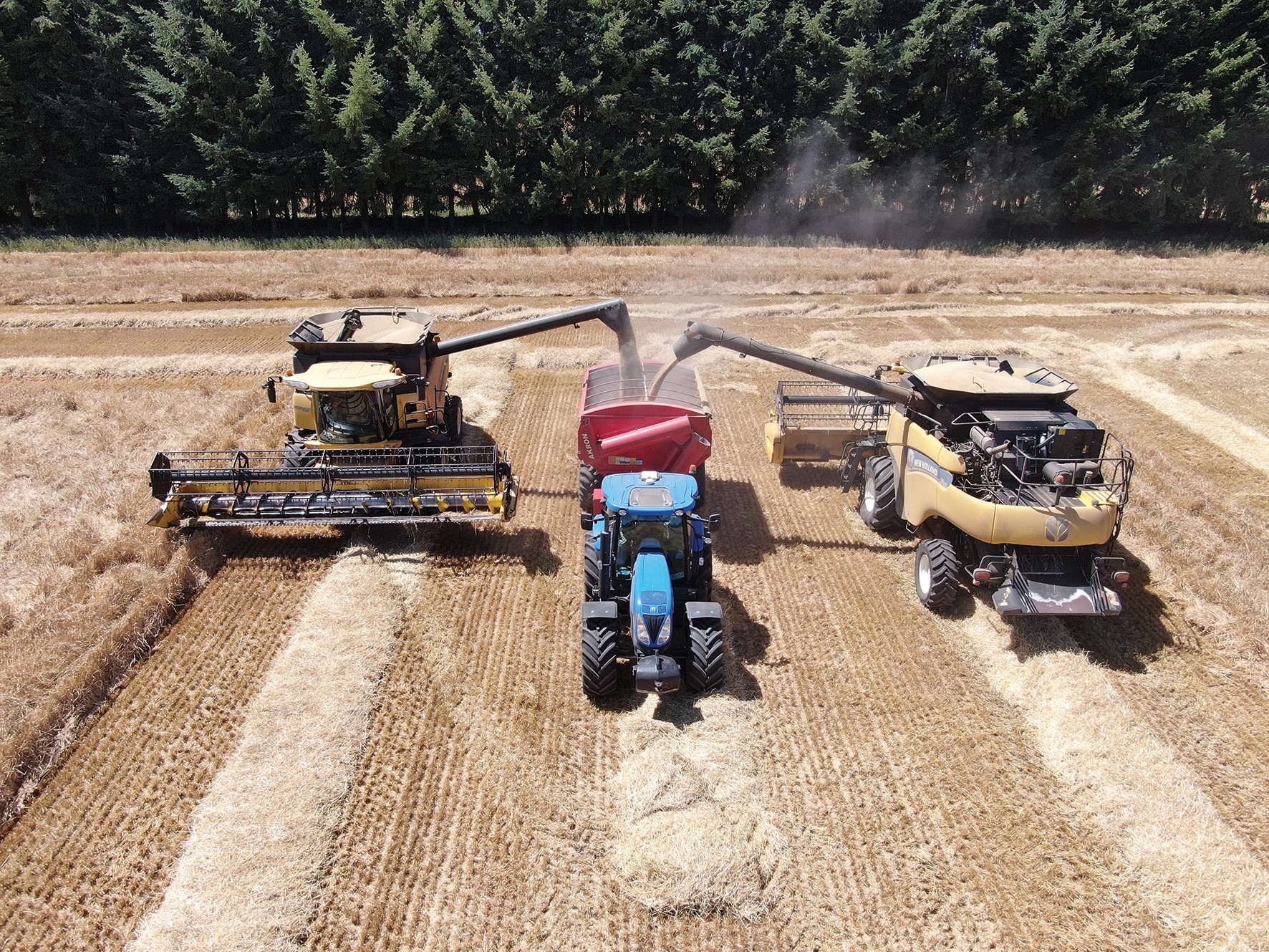 M s de 20 A os de confianza en New Holland y SKC Rural S A potencia su producci n con tecnolog a de vanguardia