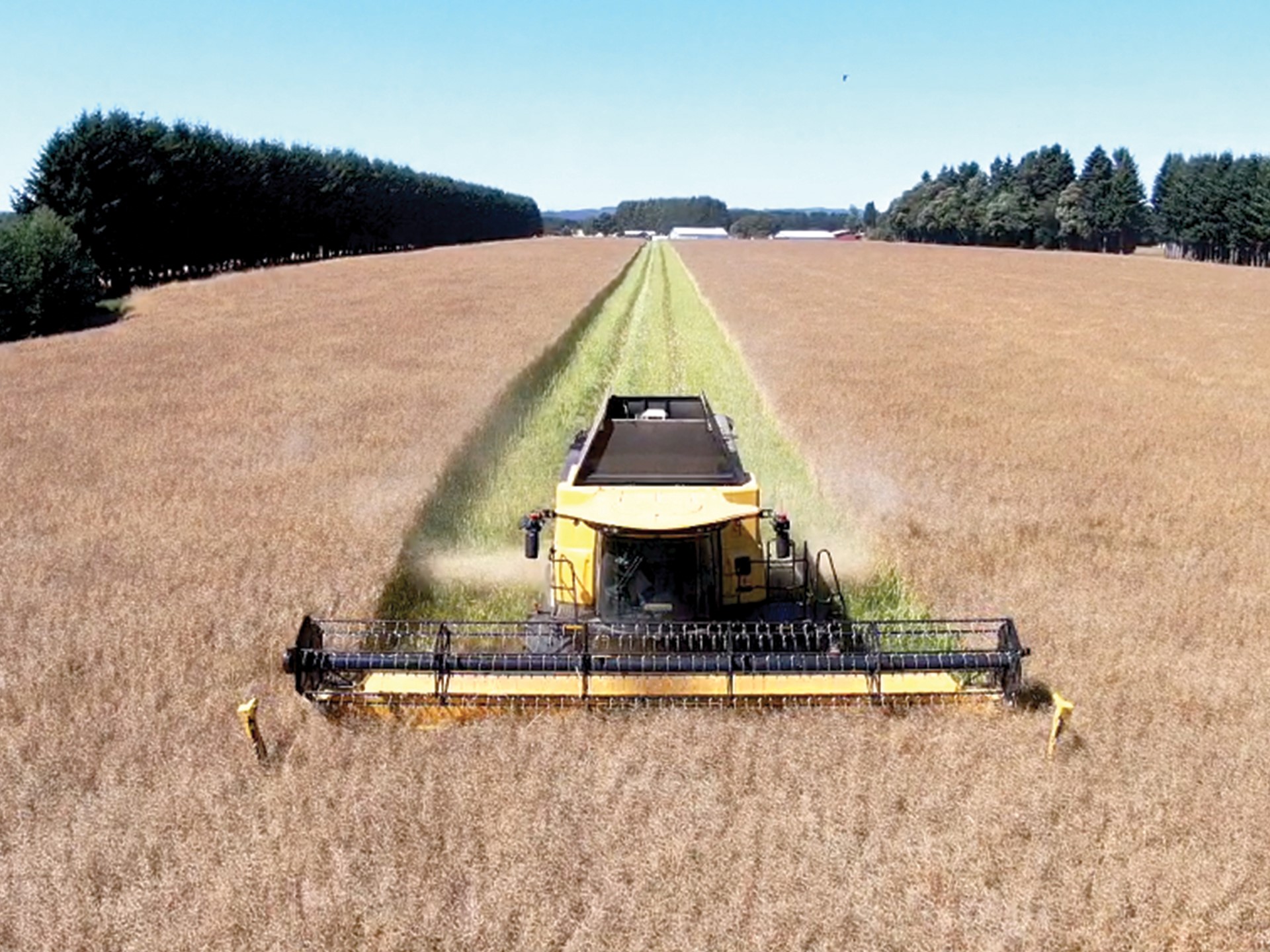 M s de 20 A os de confianza en New Holland y SKC Rural S A potencia su producci n con tecnolog a de vanguardia