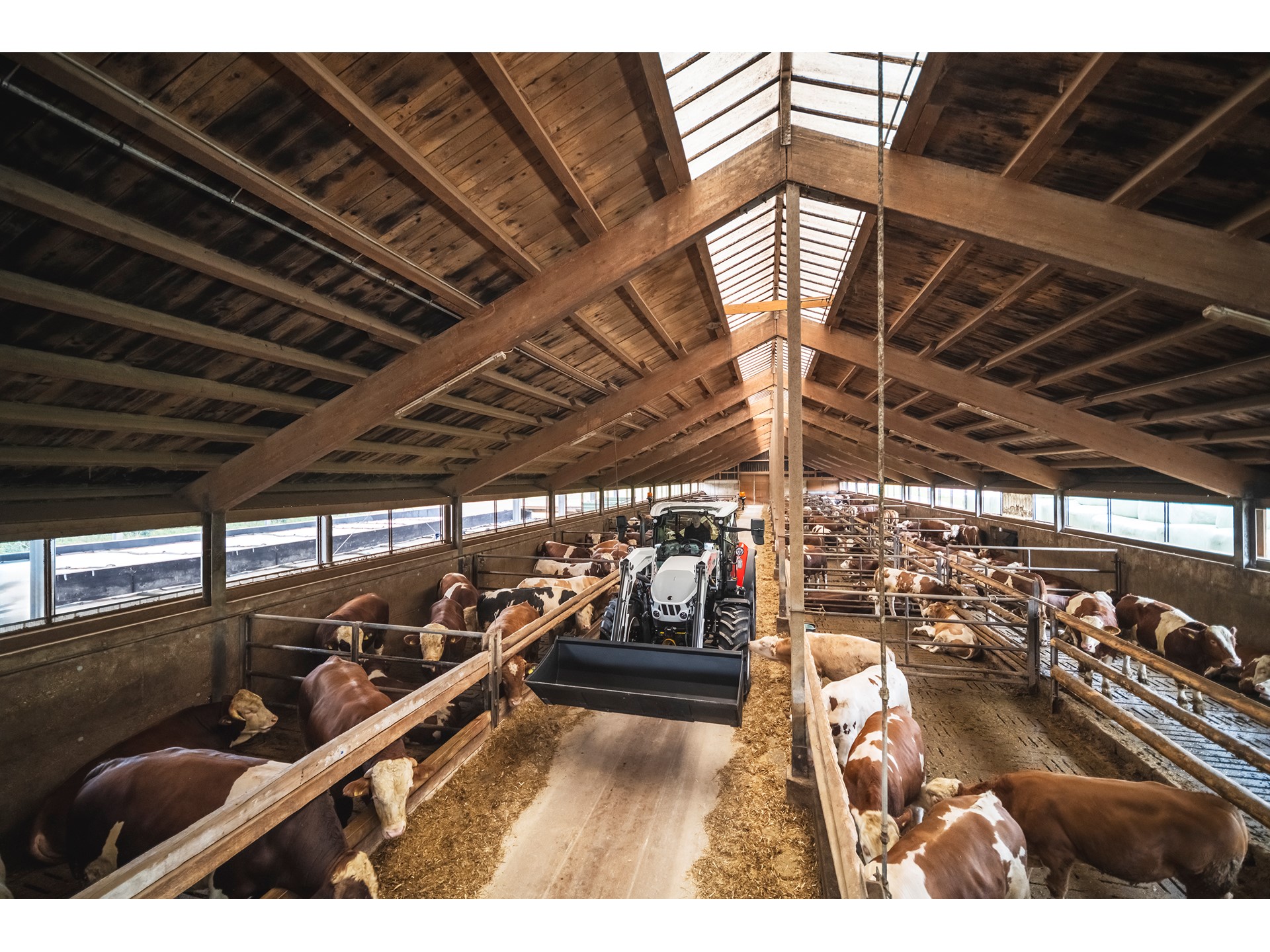 NEW PLUS TRACTORS AND MOST POWERFUL TERRUS CVT MODEL TO MAKE DEBUT AT EIMA 2024