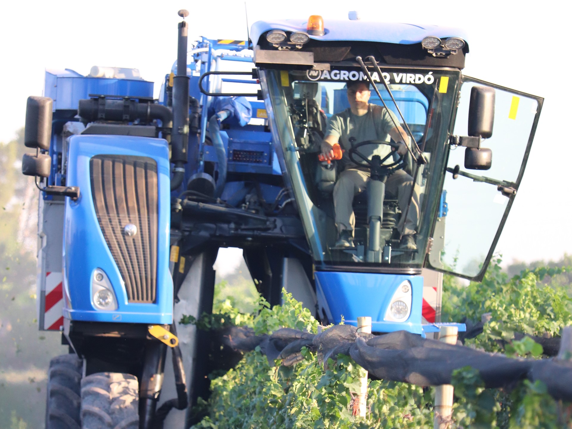New Holland y el Grupo Fecovita impulsan la producción vitivinícola