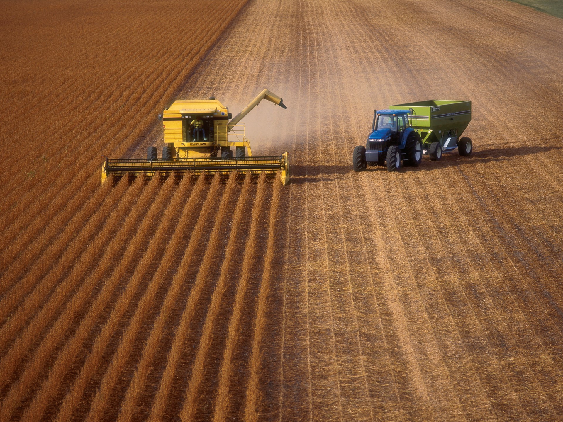 A yellow combine harvester and a green tractor are working in a vast agricultural field. The field is divided into neatly arranged rows of harvested crops, showcasing a rich golden-brown color. The background features a clear sky and distant farmland, emphasizing the rural landscape.