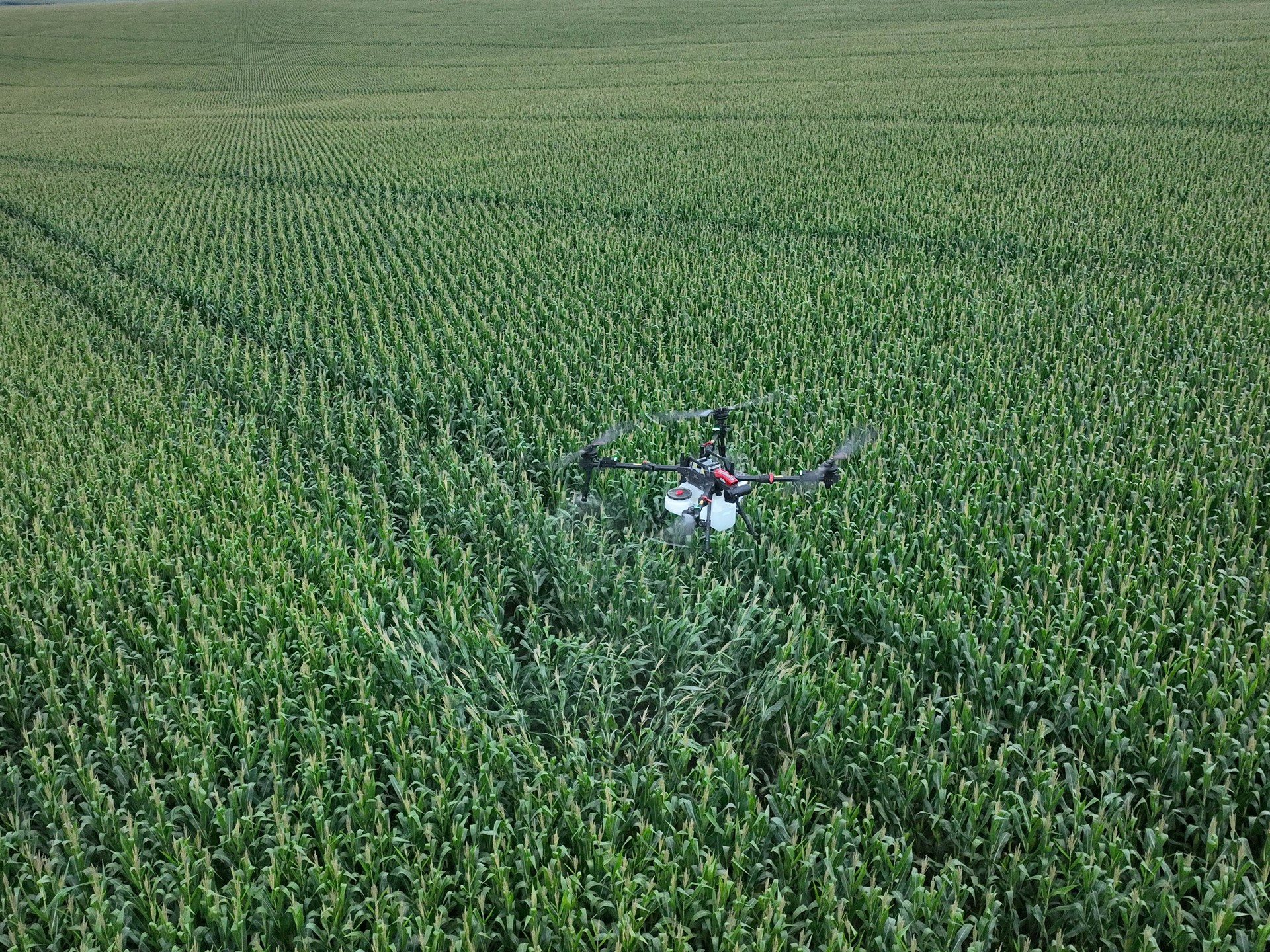 Drone de Aplicacion