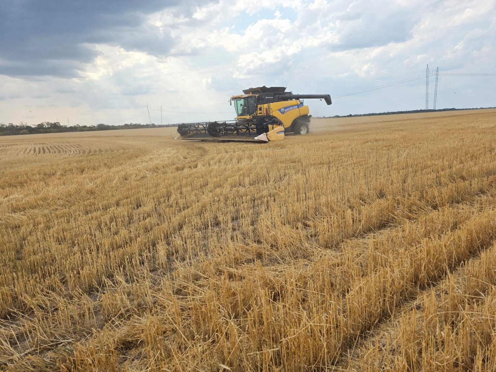 De la mano de Roberto Mario Polentarutti y su CR 7 90 arranc la cosecha en el norte argentino