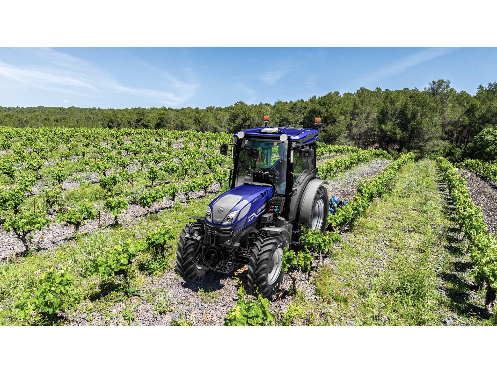 A blue tractor is driving through a vineyard with rows of green grapevines under a clear blue sky, surrounded by a forest in the background.