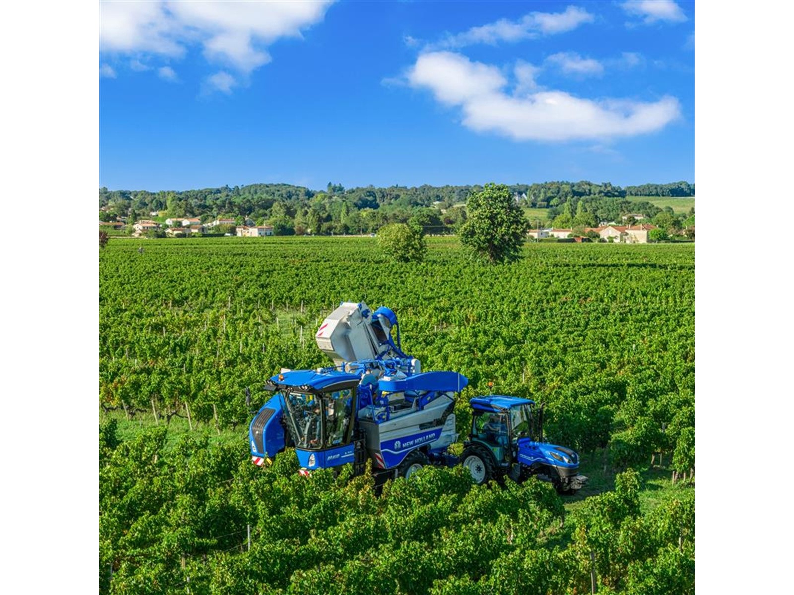 A large blue grape harvester machine and a blue tractor working in a lush green vineyard under a bright blue sky with scattered white clouds, with a backdrop of trees and distant houses.