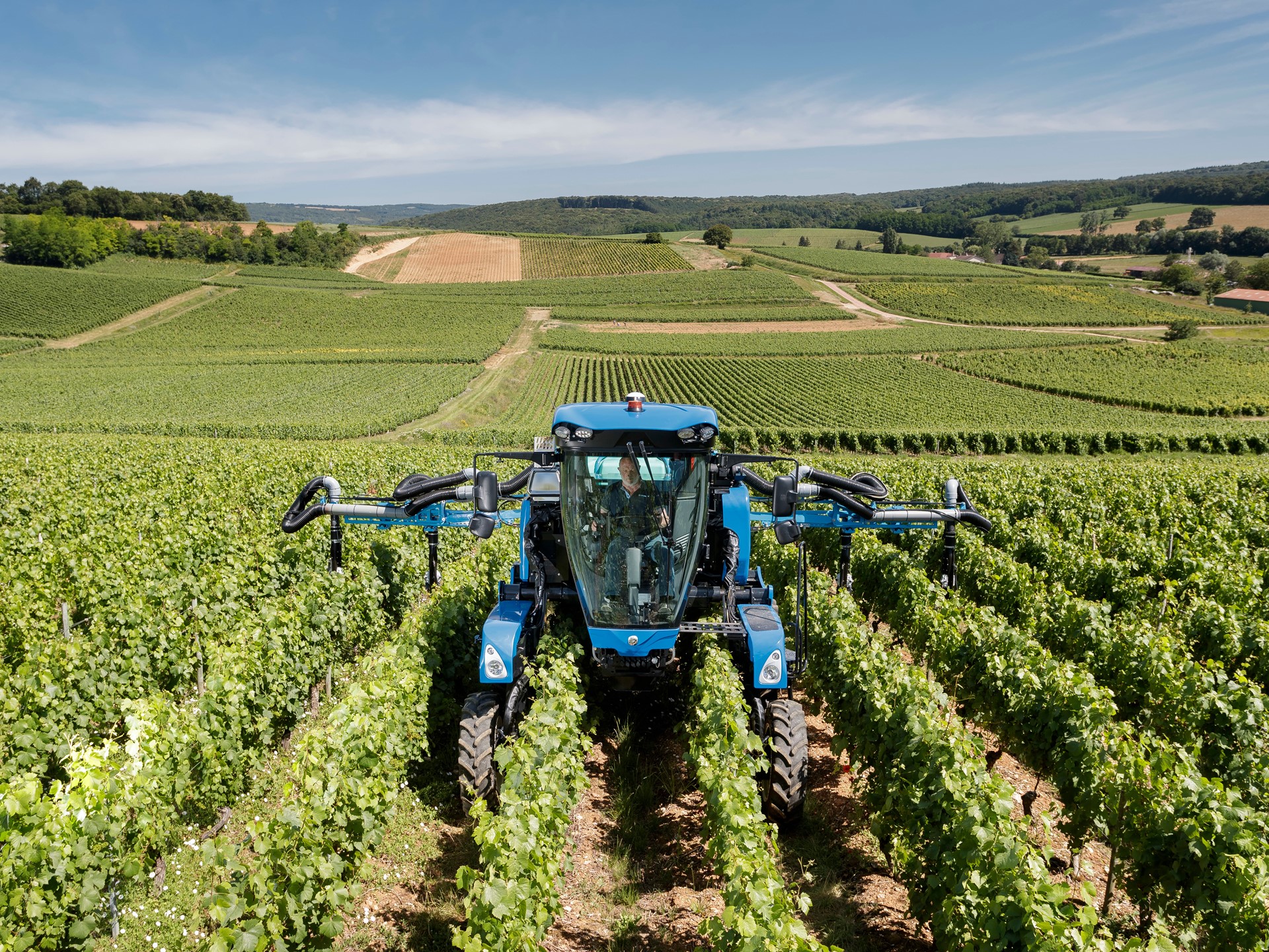 A blue agricultural machine is operating in a vineyard with rows of green grapevines under a clear blue sky, surrounded by rolling hills and farmland in the background.