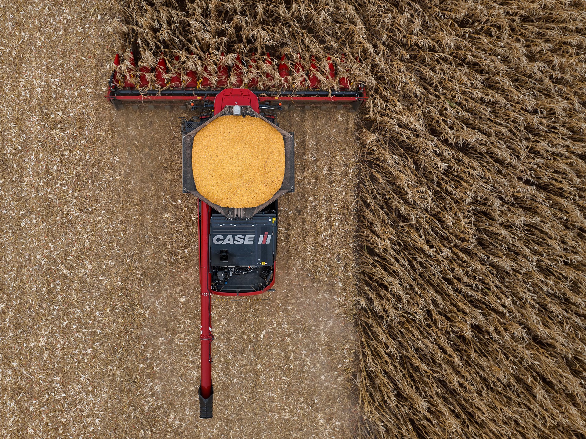 New Case IH Corn Headers Boost Feeding Throughput and Workrate
