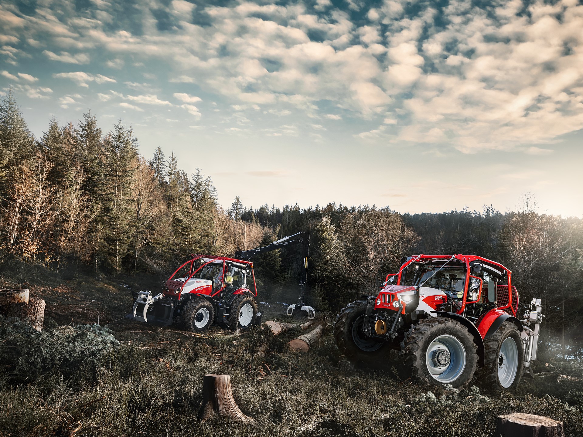STEYR Forest Group