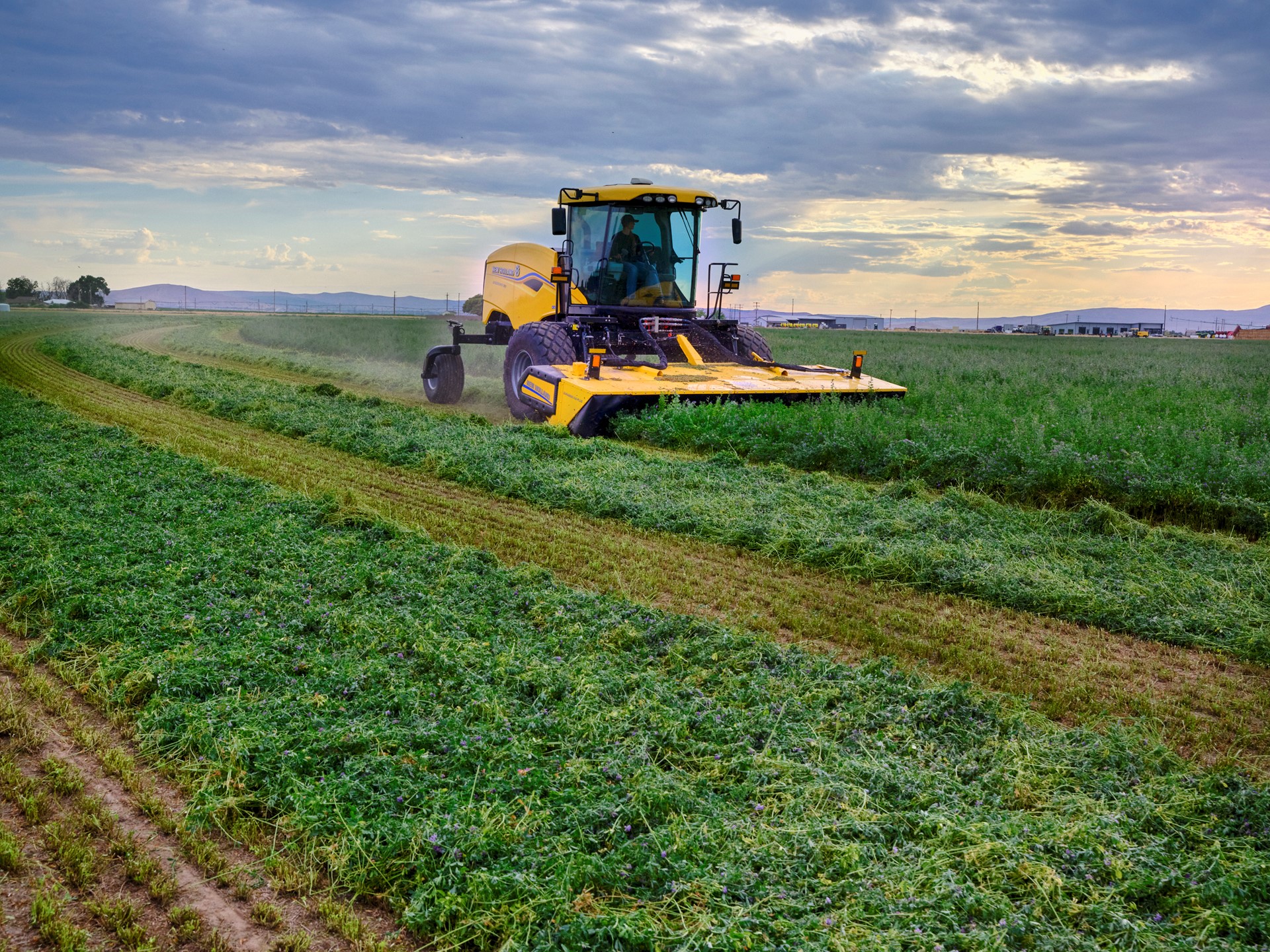 A yellow agricultural harvester machine cutting and collecting green crops in a vast field under a cloudy sky during sunset.