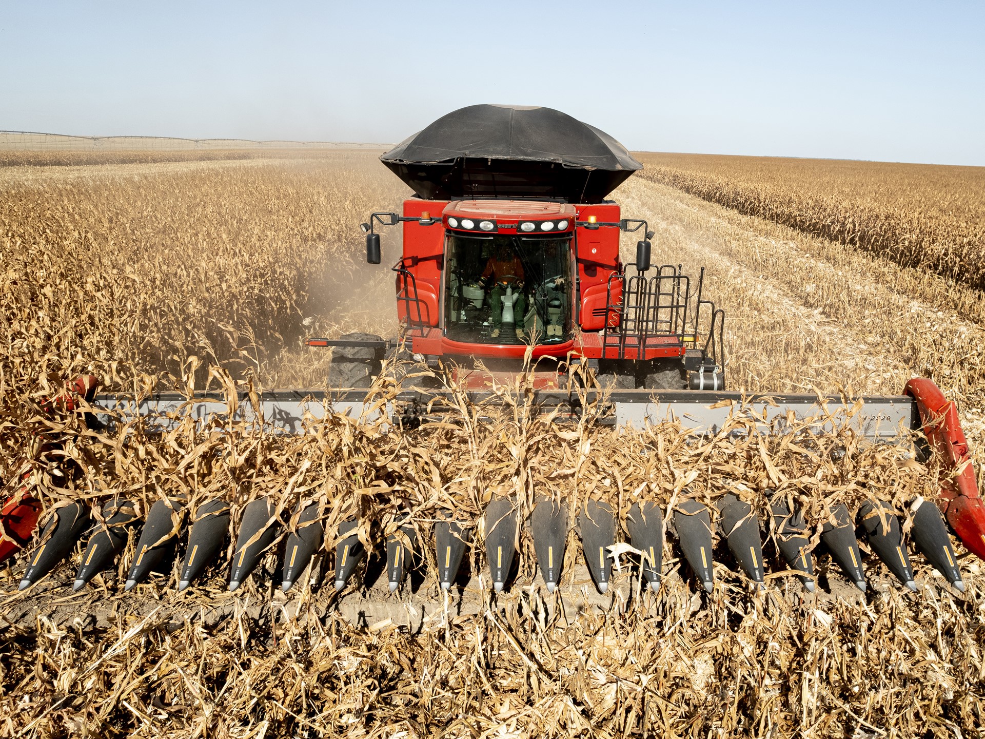 Plataforma de Milho Case IH