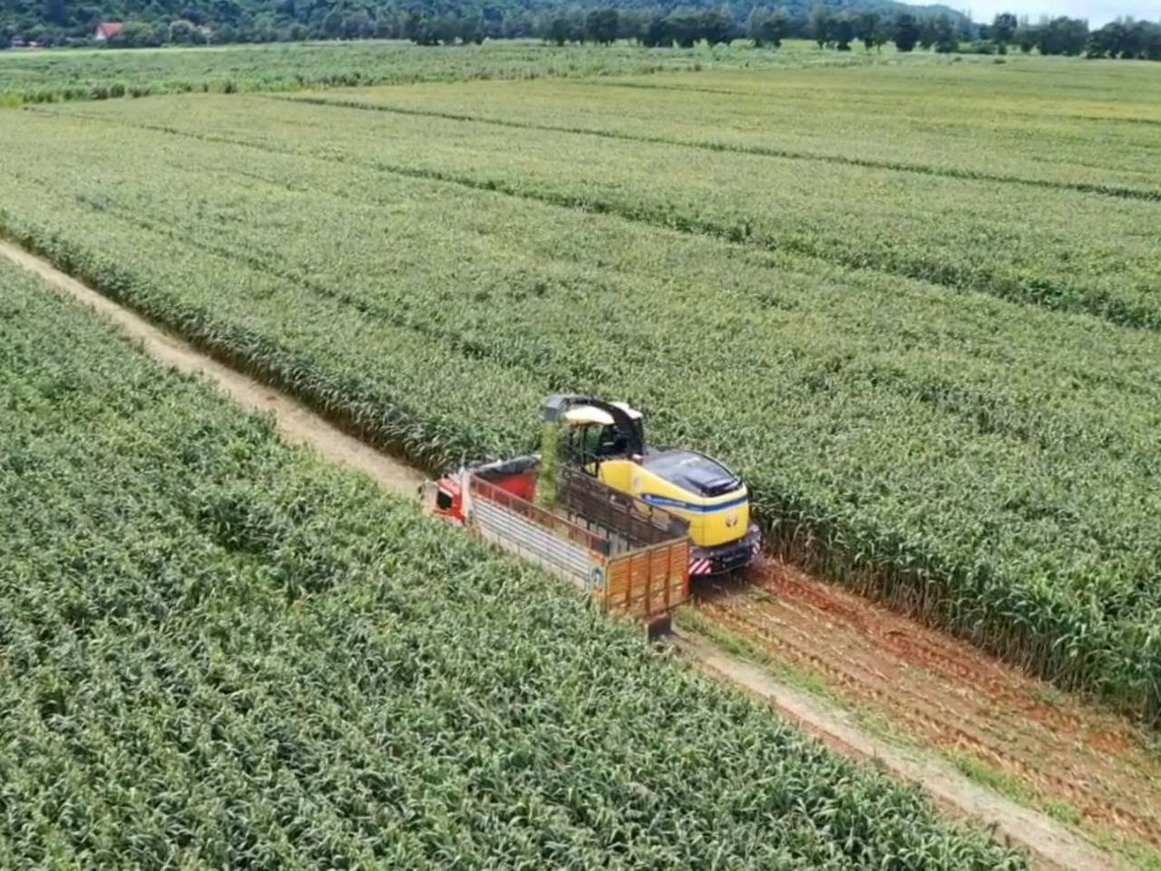 FR500 Forage Harvester