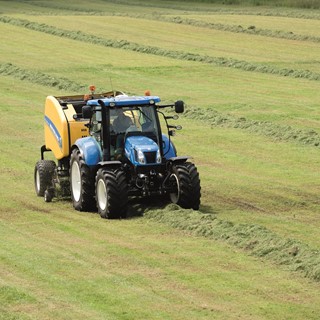 New Holland Roll-Belt™ 150 CropCutter™ in silage
