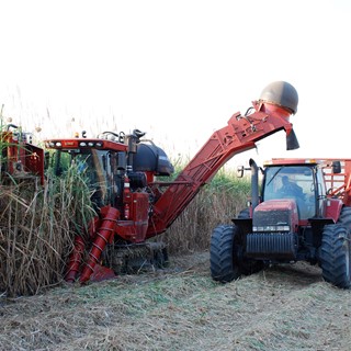 Case IH Green Fuel Sugar Cane Harvester